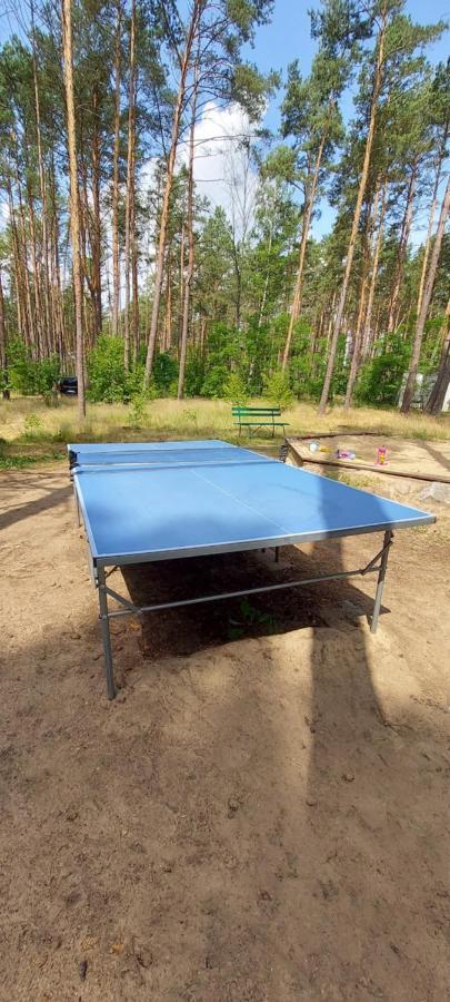 Osrodek Wypoczynkowy Nad Brda Hotel Tuchola Luaran gambar